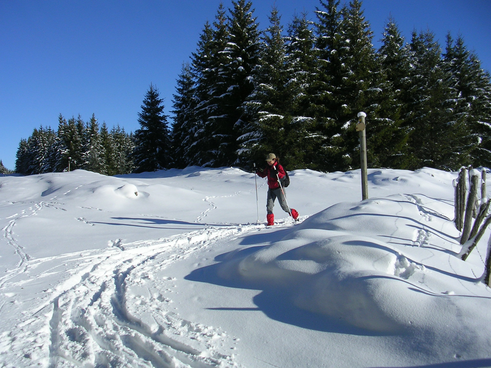 overwinteren