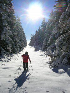 Ski de fond dans la Pinatelle