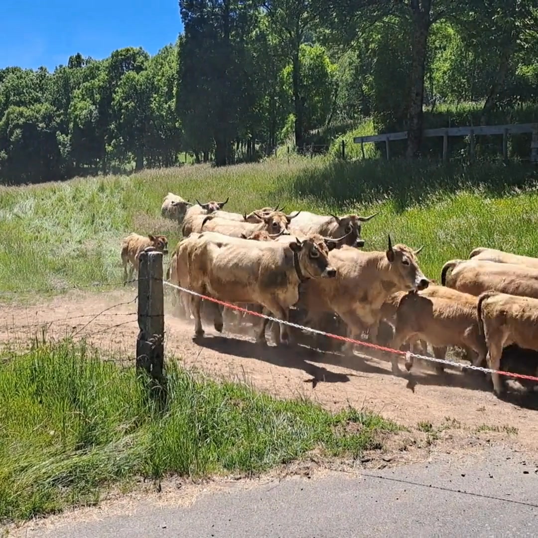 La Boudio